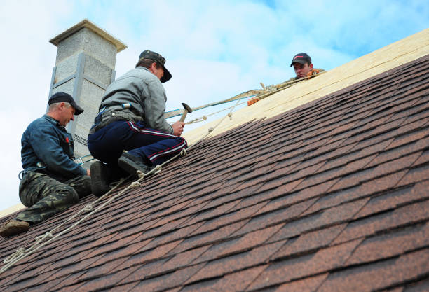 Roof Gutter Cleaning in Santa Maria, CA